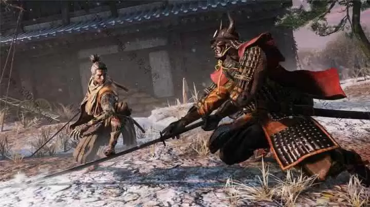 只狼：影逝二度/Sekiro: Shadows Die Twice 只狼影逝二度
