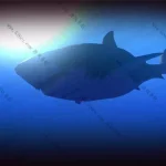 海底大猎杀/Feed and Grow: Fish