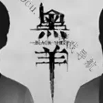 Black Sheep黑羊