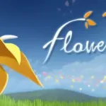 Flower 花