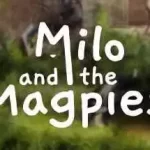 米洛与喜鹊/Milo and the Magpies